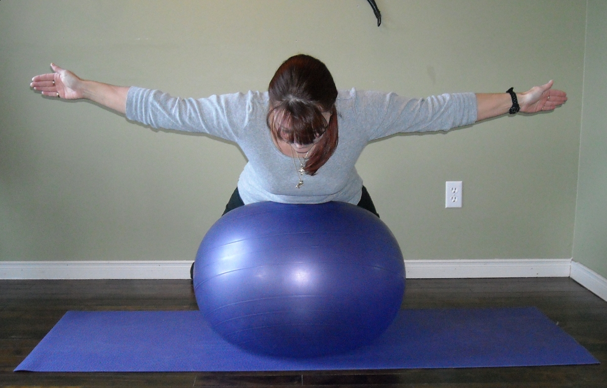 Simple Steps to Training the Rider's Core Horse Journals